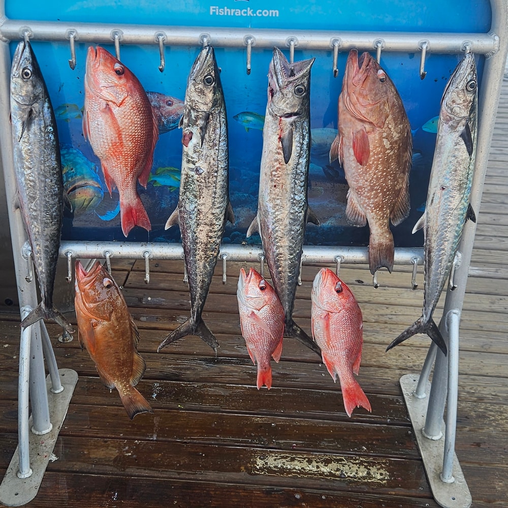 Fishing in Destin