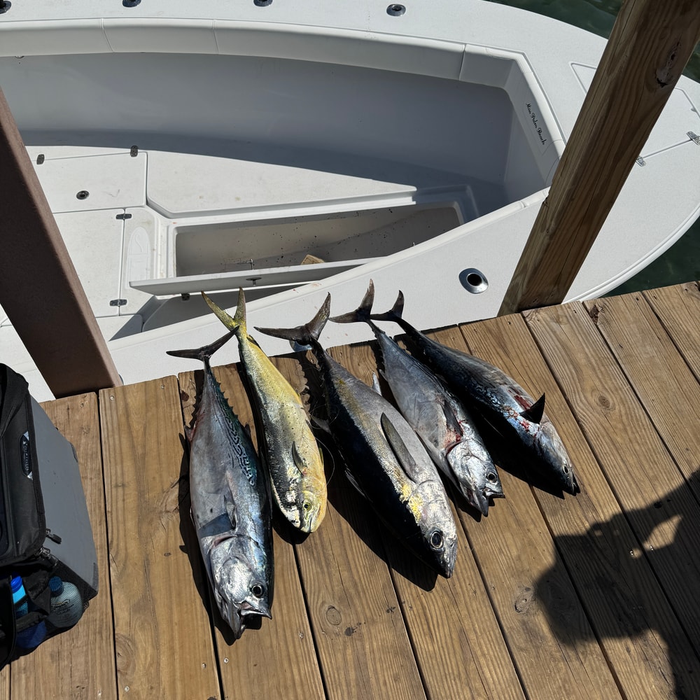 Fishing in Destin
