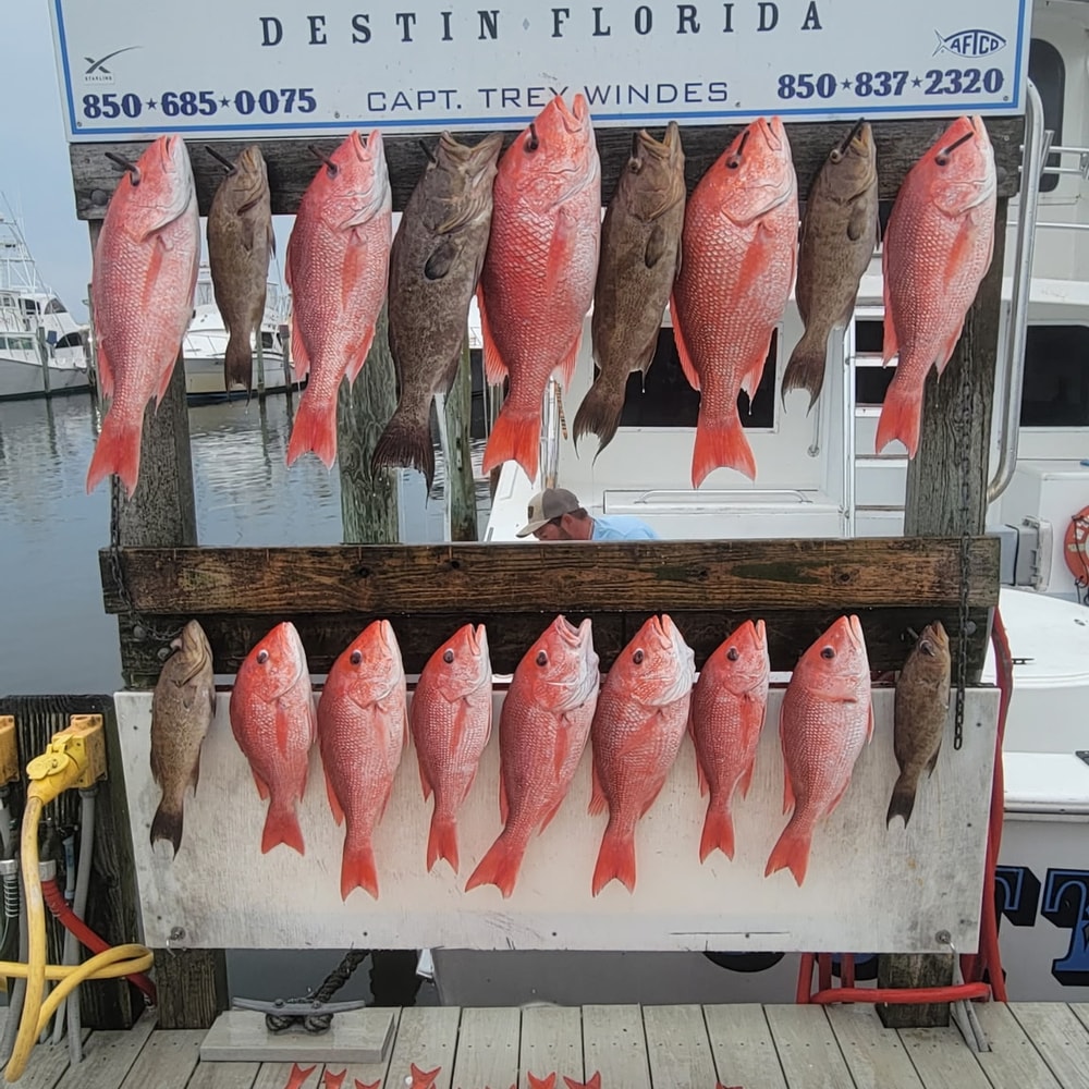 Fishing in Destin