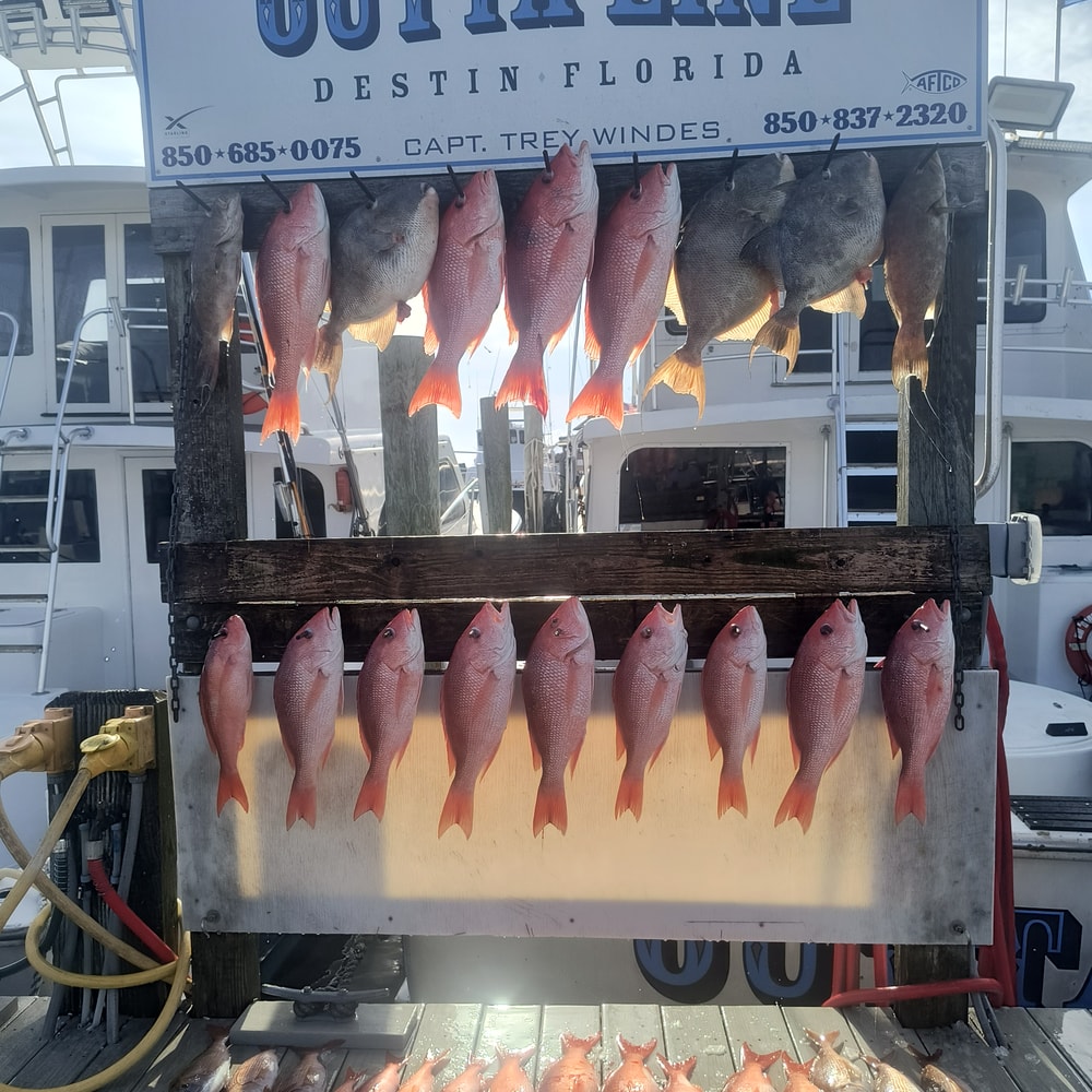 Fishing in Destin