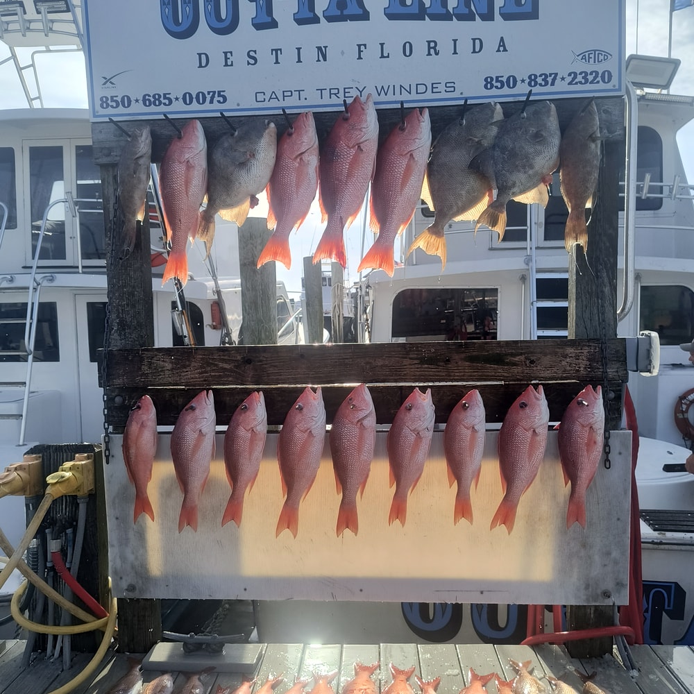 Fishing in Destin