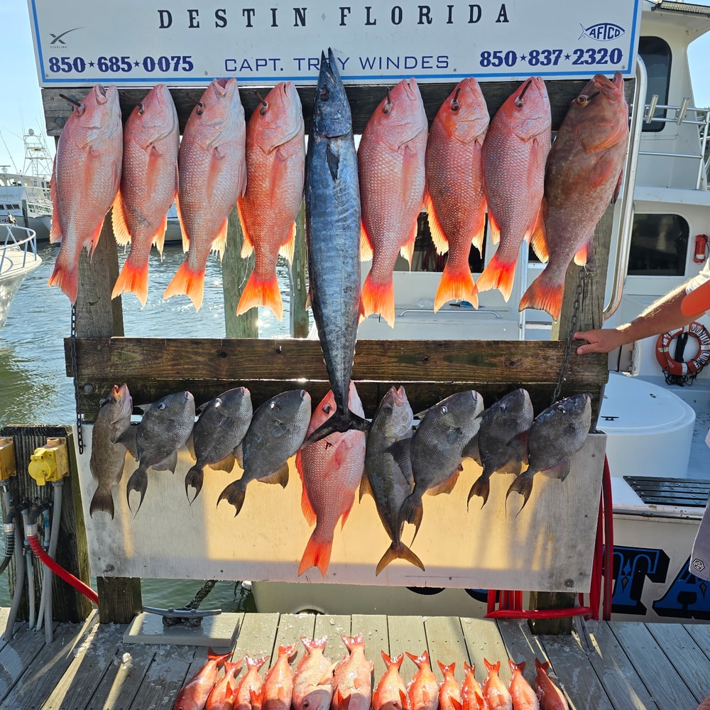 Fishing in Destin