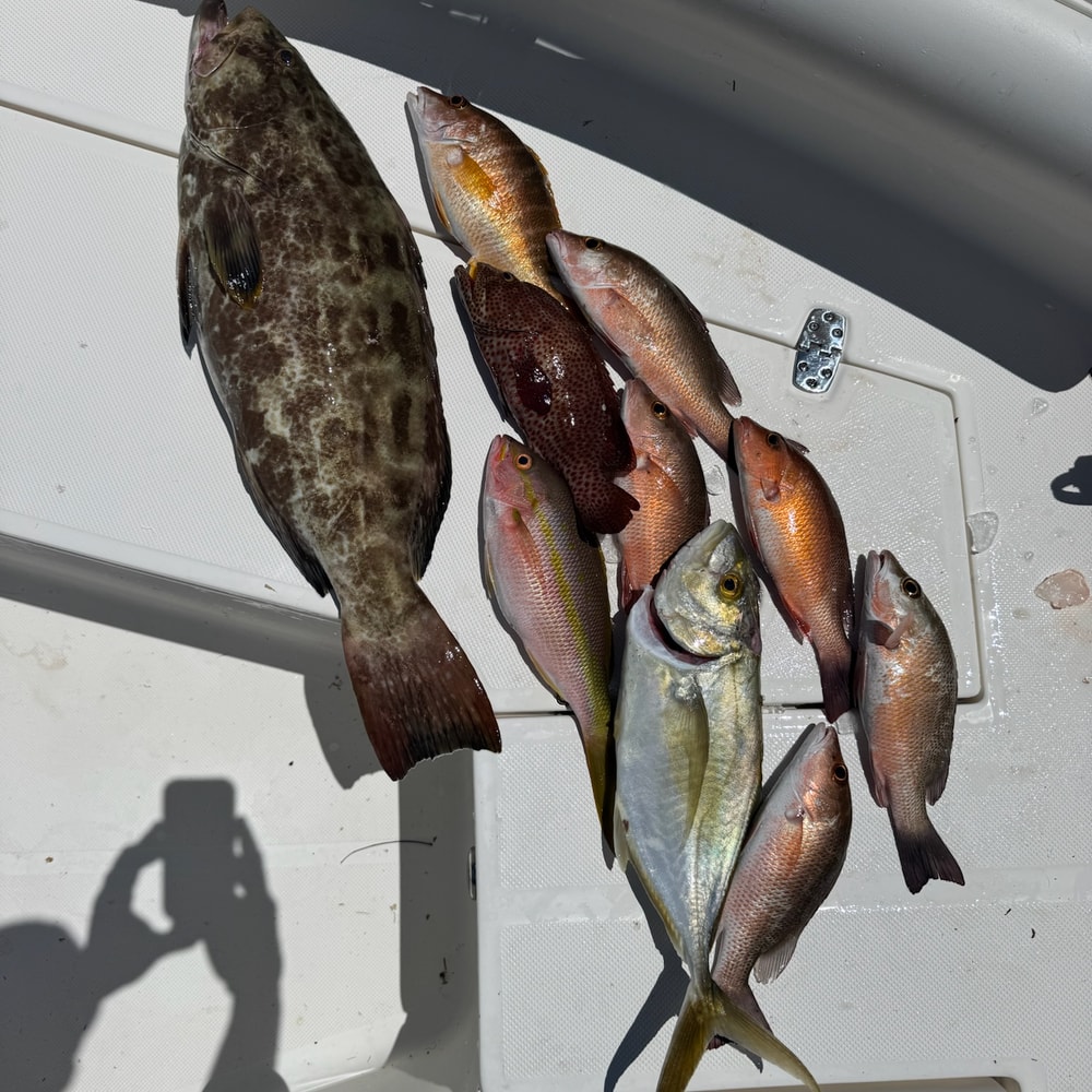 Fishing in Destin