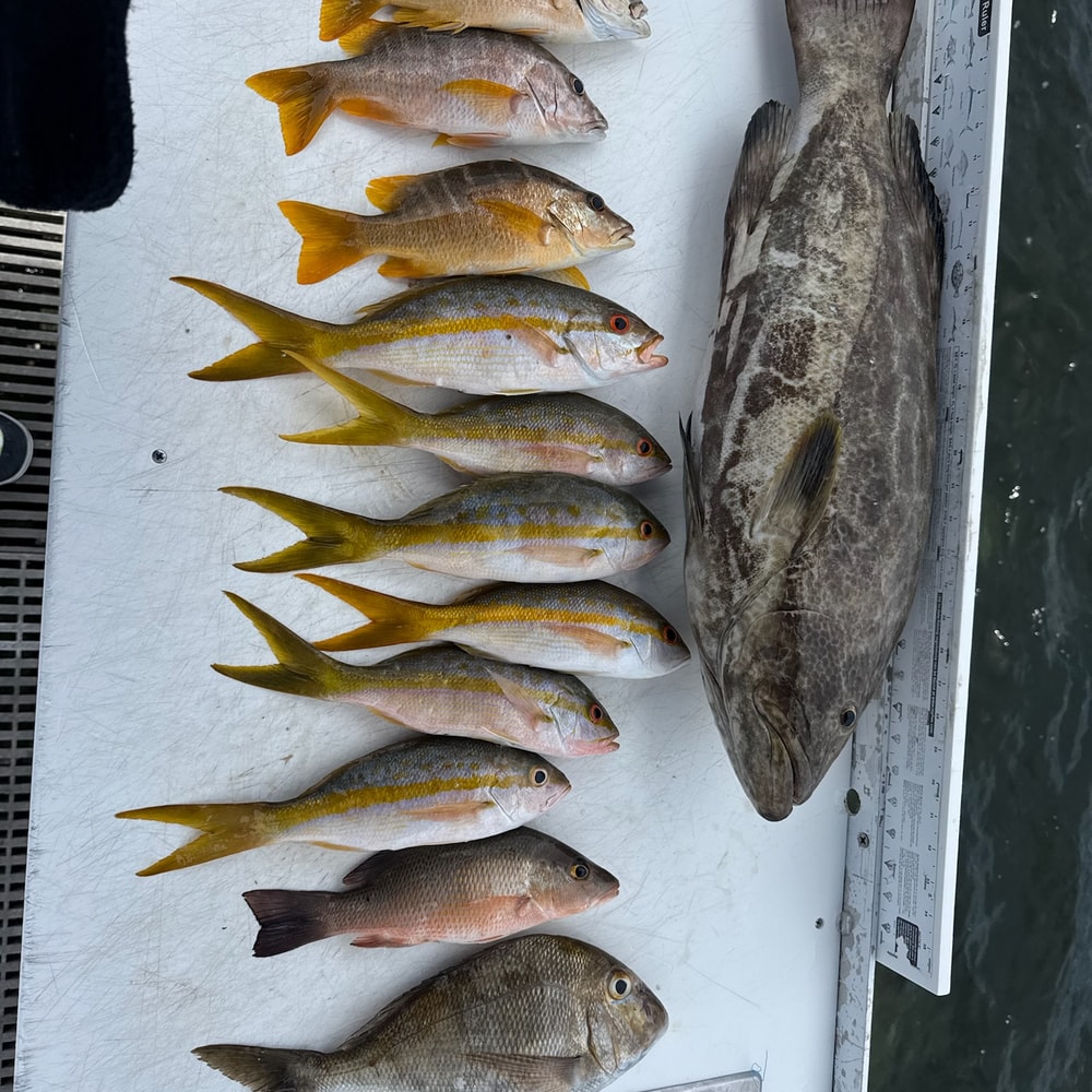 Fishing in Destin