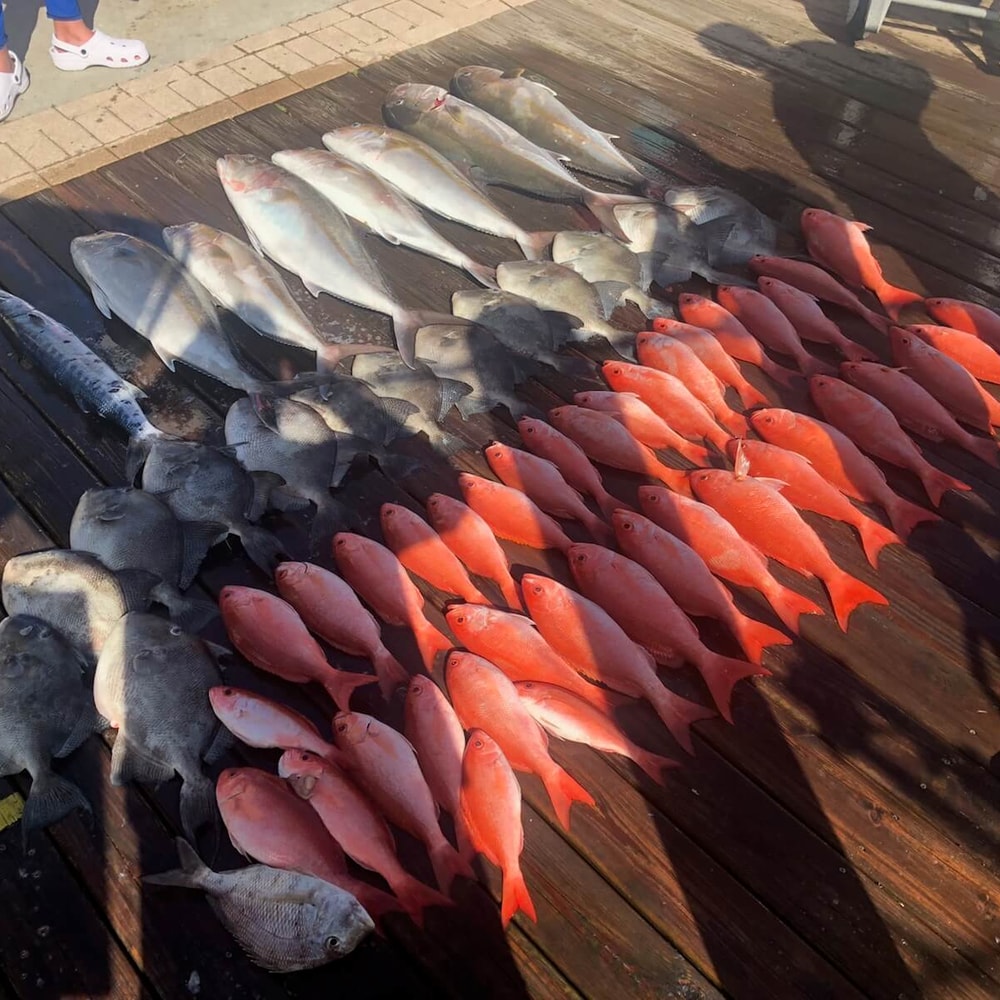 Fishing in Destin