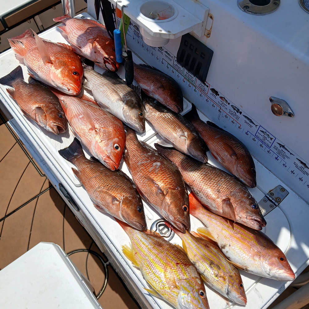 Fishing in Destin
