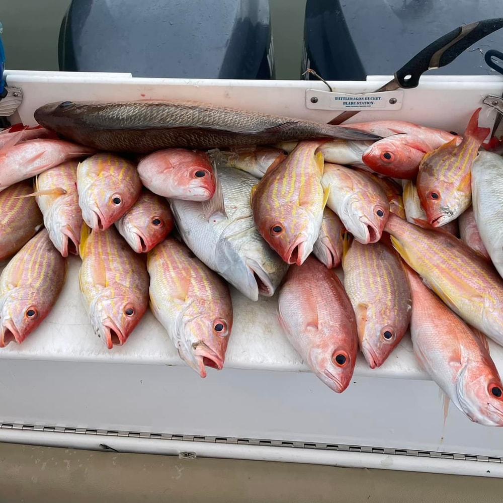 Fishing in Destin