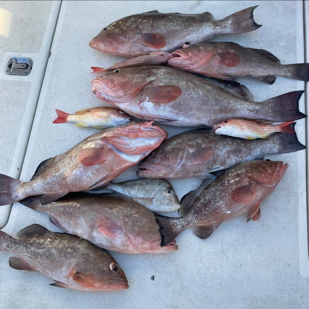 Fishing in Destin