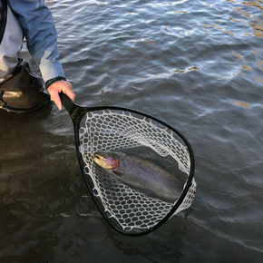 Fishing in Round Rock