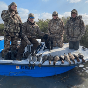 Hunting in Port Aransas