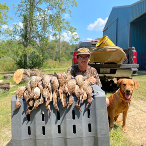 How To Catch Specklebelly Goose & Specklebelly Goose Hunting Guides
