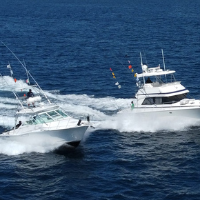 Fishing in Cabo San Lucas