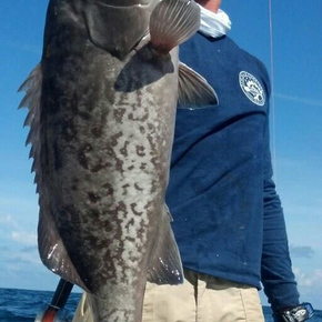 Fishing in Hilton Head Island