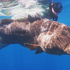 Fishing in Cabo San Lucas