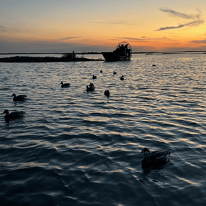 Hunting in Port O&#039;Connor