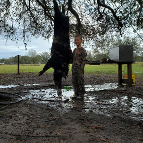 Hunting in Green Pond