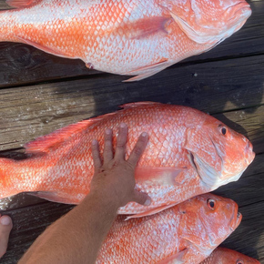 Fishing in Corpus Christi