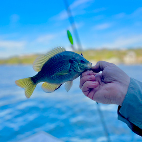 Fishing in Austin