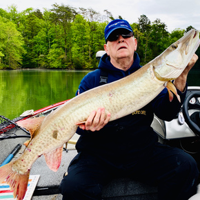 Fishing in Knoxville