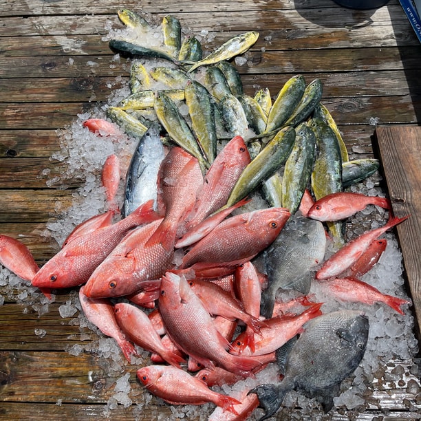 Fishing in Destin