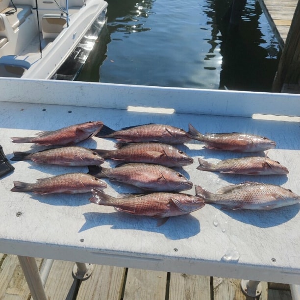 Fishing in Destin