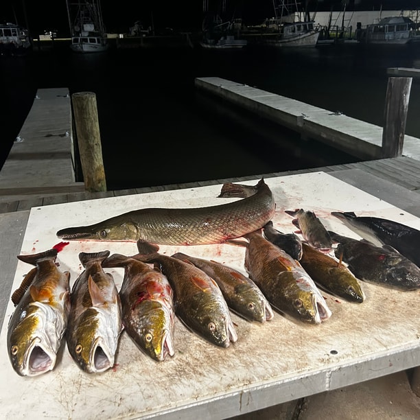 Fishing in Destin