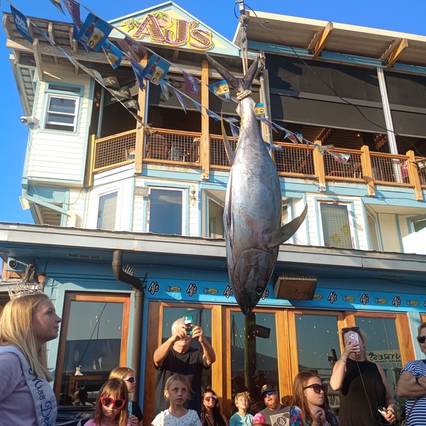 Fishing in Destin