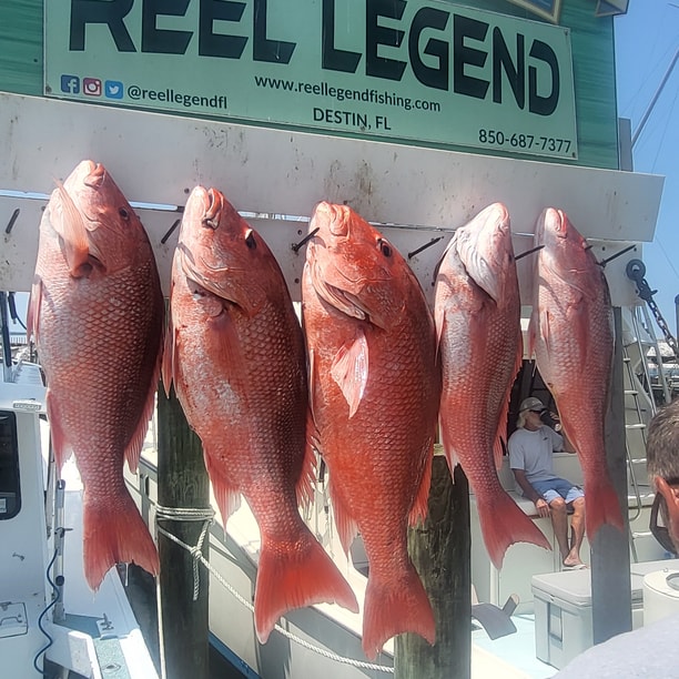 Fishing in Destin