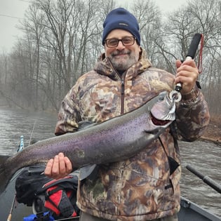 Steelhead