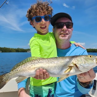 Speckled Trout