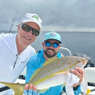 Yellowtail Snapper