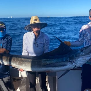 Striped Marlin