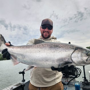 Chinook Salmon