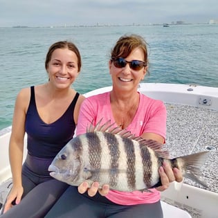 Sarasota