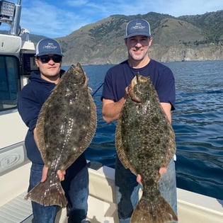 Flounder