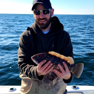 Tautog