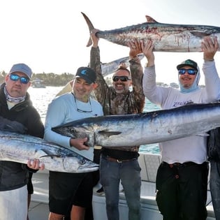 Kingfish