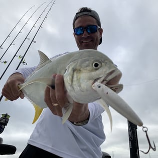 Jack Crevalle