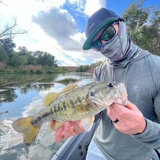 Smallmouth Bass