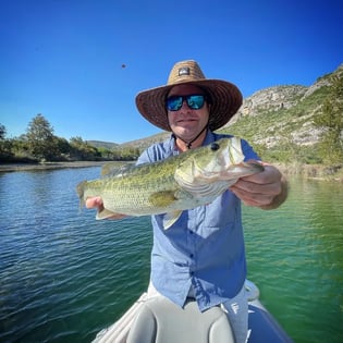 Largemouth Bass