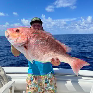 Red Snapper