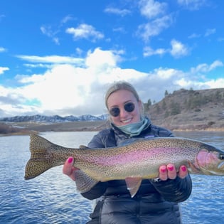 Rainbow Trout