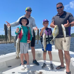 Speckled Trout