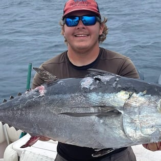 Bigeye Tuna