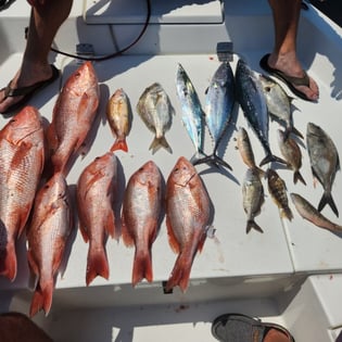 Perch
