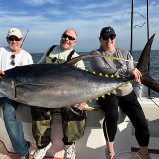 Yellowfin Tuna