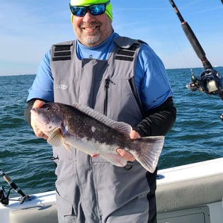 Tautog
