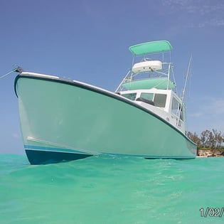 Fishing in Sandys