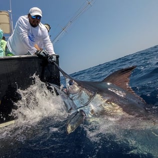 Fishing in Puerto Quetzal