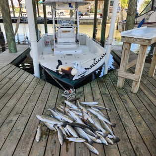 Fishing in New Orleans